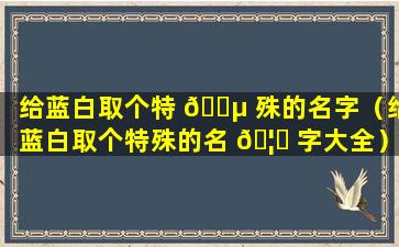 给蓝白取个特 🐵 殊的名字（给蓝白取个特殊的名 🦟 字大全）